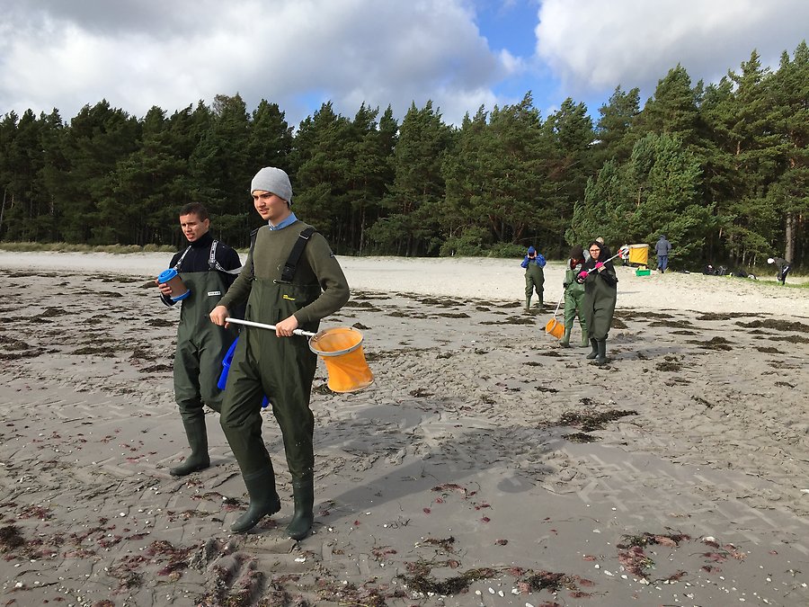 Fotografi med elever som håller i håvar på en strand